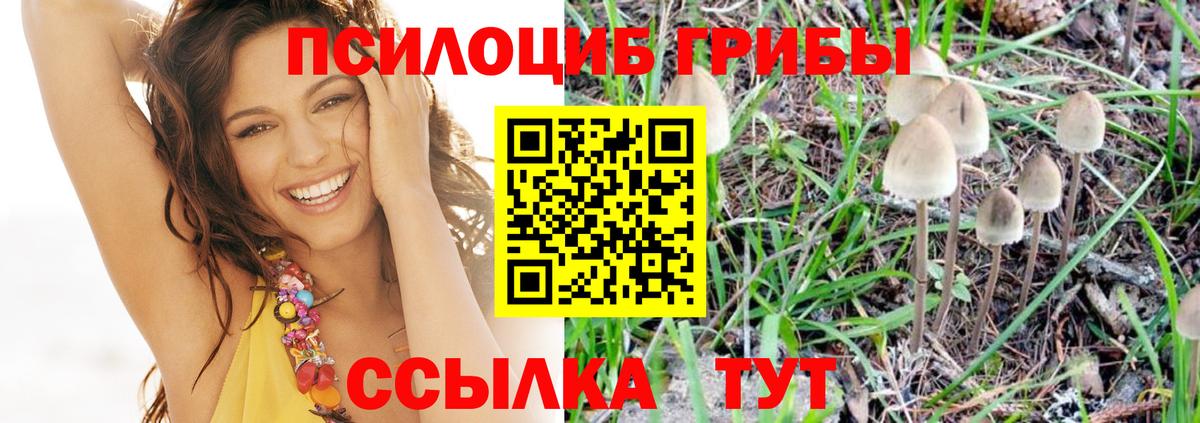 Псилоцибиновые грибы Cubensis  Псилоцибиновые грибы Magic Shrooms  Вход с VPN  Карачаевск 