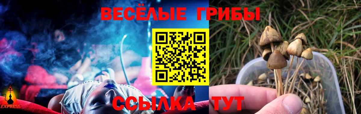 Галлюциногенные грибы мухоморы Карачаевск