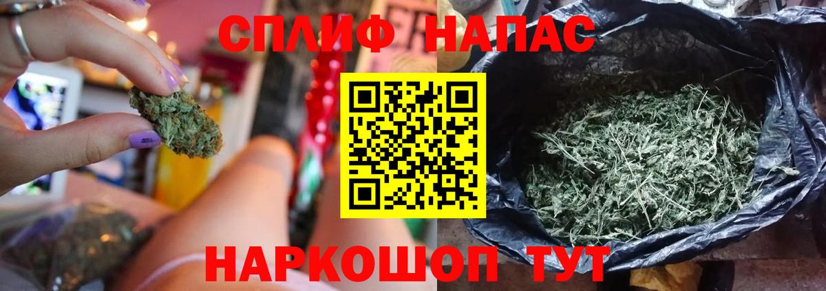 МАРИХУАНА план Карачаевск